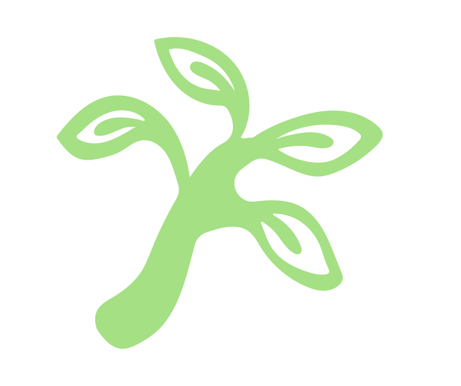 sapling icon symbolizes growth and thriving health and well being